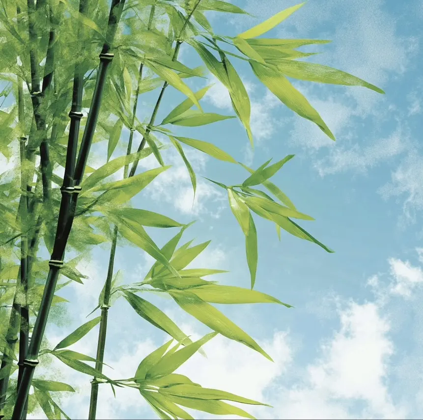 免费在线阅读《检察官室的提案》全本无删减小说-检察官室的提案txt百度云链接获取