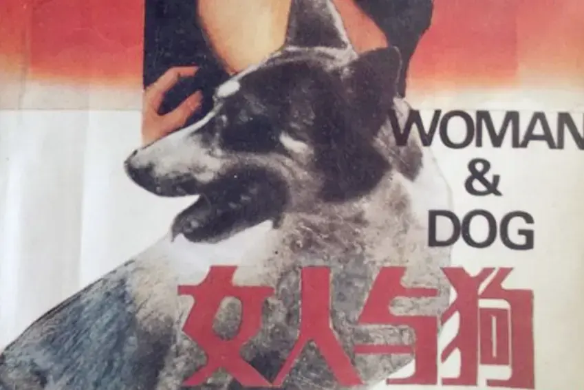 欧美电影《女人与狗》HD 1080P 蓝光高清免费在线播放 - 《女人与狗》全集完整版免费在线观看无广告无缓冲