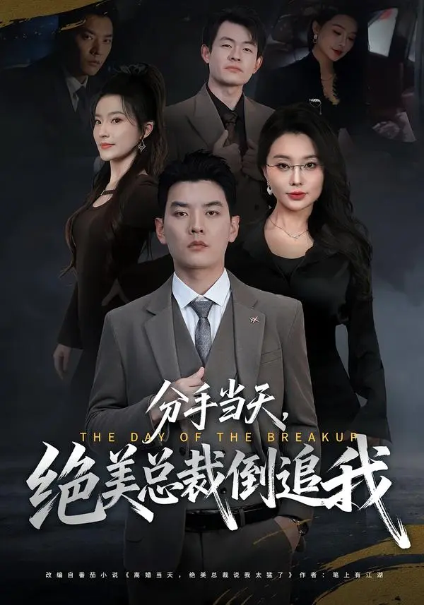 《分手当天，绝美总裁倒追我》相关资源图片