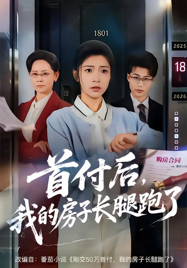 《首付后，我的房子长腿跑了》相关资源图片