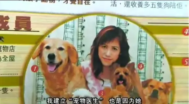 《女人与狗》HD无广告在线观看-完整版-女人与狗1080P超清画质，体验催泪人狗情感羁绊