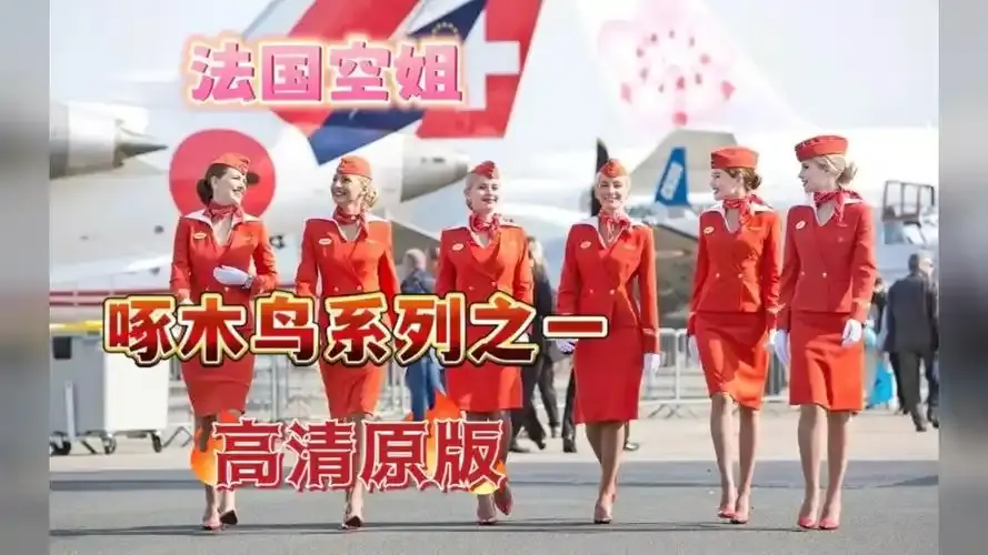 法国电影佳作《法国空姐》免费看-塞尔维亚飞行元素吸睛-超高清画质在线播放-感受《法国空姐》独特魅力