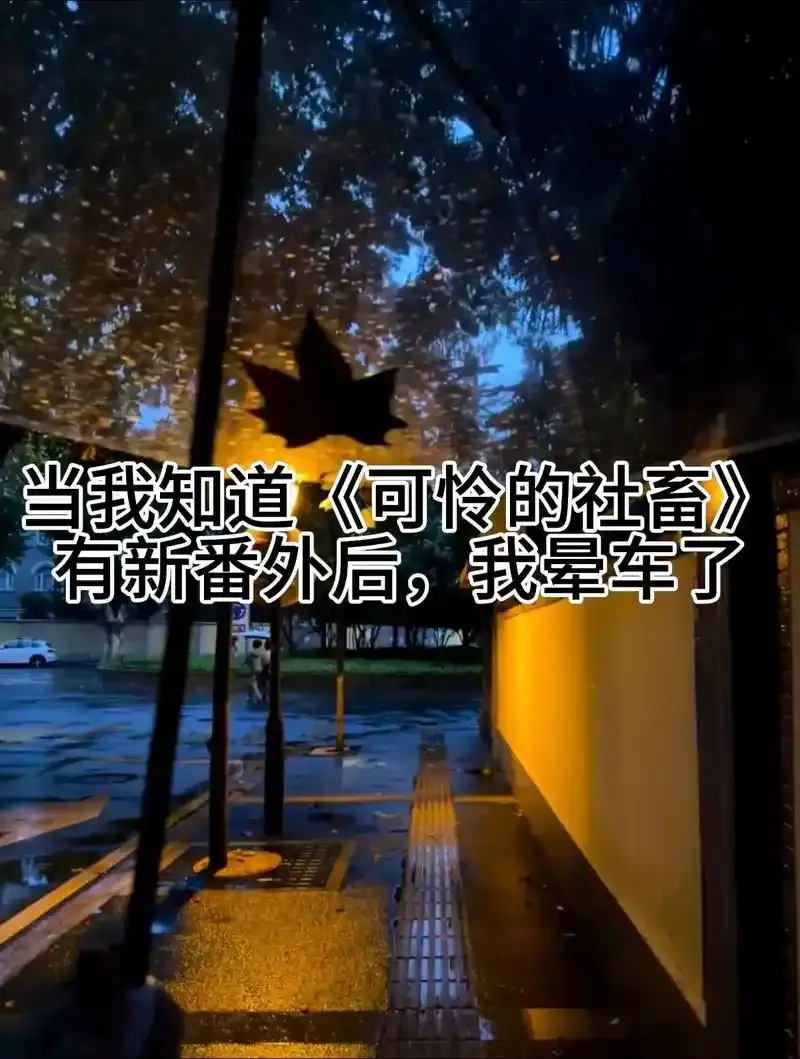 《可怜的社畜》(东度日)小说最新章节未删减txt全文阅读-完整版免费阅读