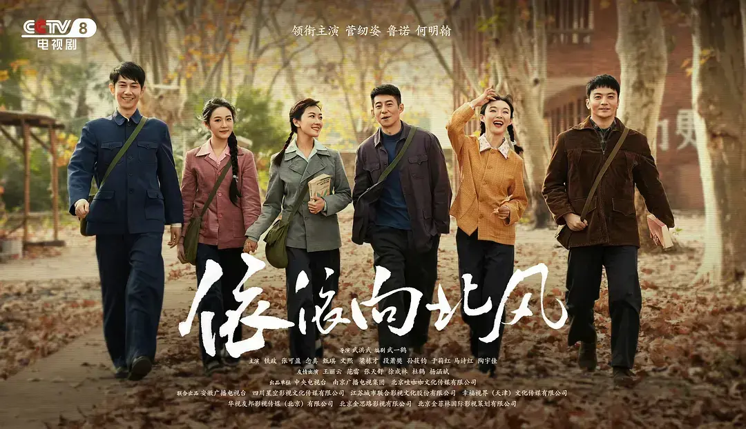 国产电视剧《依依向北风》全集免费观看 - 《依依向北风》网盘高清无删减播放 - 手机端无广告完整版