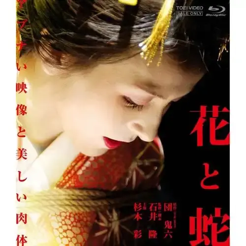 日本电影《花与蛇》免费无删减-日本剧情片《花与蛇》高清版在线观看-夸克网盘4K原画下载-星辰影院