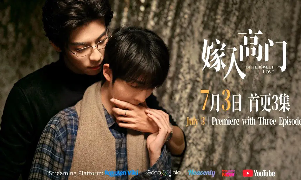 《嫁入高门的男人》22集全集1080P高清免费无广告在线观看-2026新剧嫁入高门双男主爱情剧