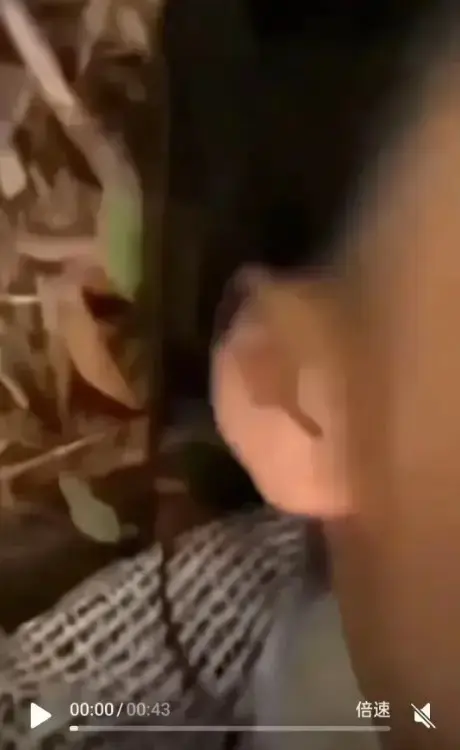 《女轻奢事件》不容错过！涵盖轻奢事件、双人大战等热门看点，1080P高清画质免费播放，了解轻奢二人组与校园轻奢男孩故事！