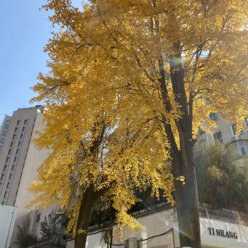 《今泉家似乎变成辣妹聚会所》全1-6集免费观看_《今泉家》无广告高清资源_无修版1080P网盘下载_全网动漫-家庭变身辣妹秘密基地